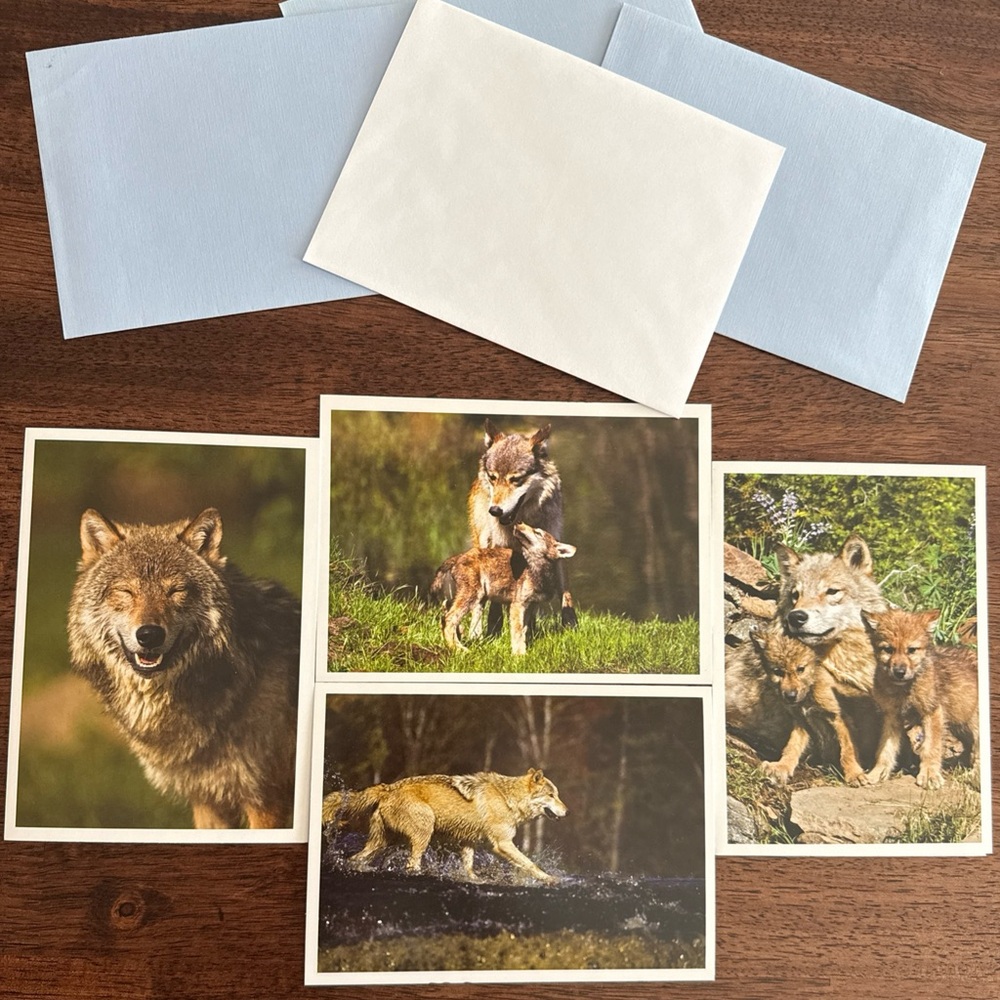 Lot of 4 blank note cards with pictures of wolves